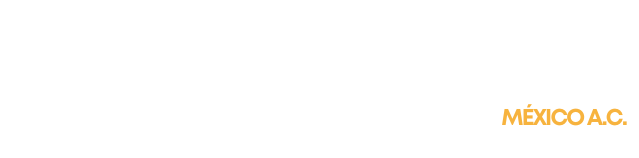 IMPACTO — Juventudes Impactando México A.C.